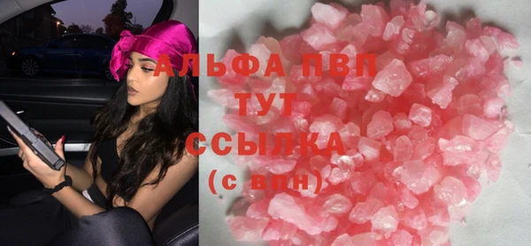 сатива Верея