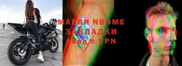 сатива Верея