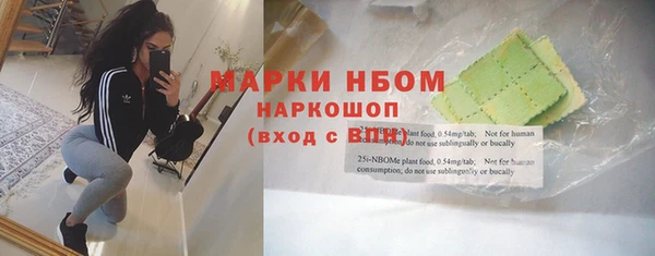 сатива Верея