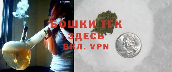сатива Верея