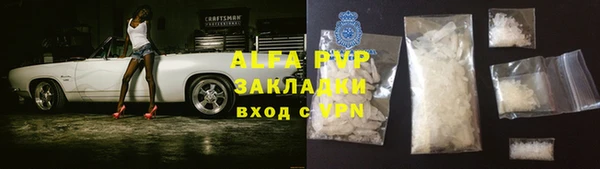 сатива Верея