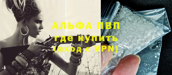 сатива Верея