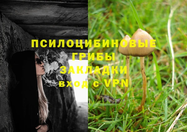 герыч Вяземский